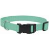 Coastal Pet Teal Nylon Tuff Dog Collar with Plastic Buckle - 8-12"L x 3/8"W