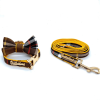 Medallion Dog Collar